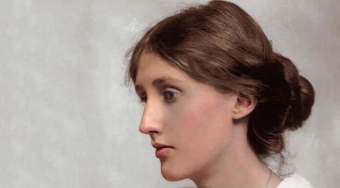 AYOLLAR UCHUN KASBLAR. VIRJINIYA VULF